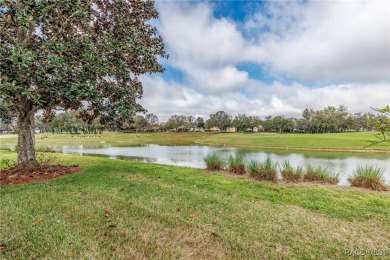 Welcome home to the Amazing Lifestyle that Terra Vista offers! on Skyview At Terra Vista Golf and Country Club in Florida - for sale on GolfHomes.com, golf home, golf lot