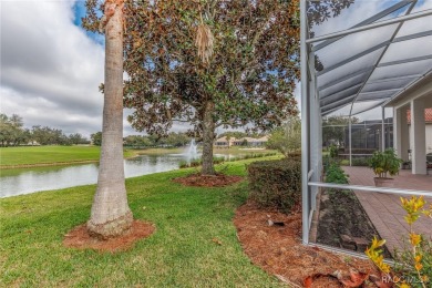 Welcome home to the Amazing Lifestyle that Terra Vista offers! on Skyview At Terra Vista Golf and Country Club in Florida - for sale on GolfHomes.com, golf home, golf lot