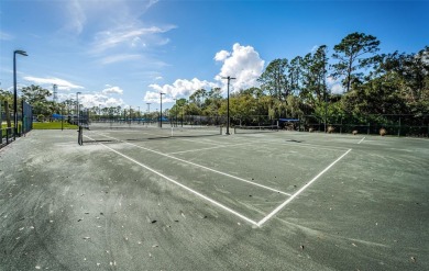 Maintenance Free Living at its finest! A truly rare opportunity on East Lake Woodlands Country Club in Florida - for sale on GolfHomes.com, golf home, golf lot