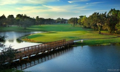 Welcome home to the Amazing Lifestyle that Terra Vista offers! on Skyview At Terra Vista Golf and Country Club in Florida - for sale on GolfHomes.com, golf home, golf lot