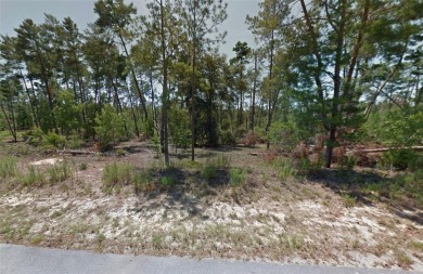 Under contract-accepting backup offers. Incredible opportunity on Sugarmill Woods Golf and Country Club in Florida - for sale on GolfHomes.com, golf home, golf lot