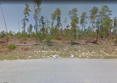 Under contract-accepting backup offers. Incredible opportunity on Sugarmill Woods Golf and Country Club in Florida - for sale on GolfHomes.com, golf home, golf lot