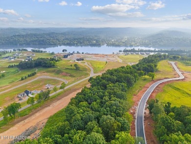 Discover one of the highest points in Tennessee National!  This on Tennessee National Golf Club in Tennessee - for sale on GolfHomes.com, golf home, golf lot