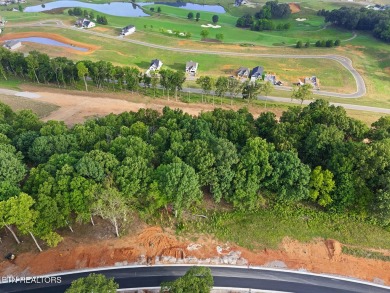 Discover one of the highest points in Tennessee National!  This on Tennessee National Golf Club in Tennessee - for sale on GolfHomes.com, golf home, golf lot