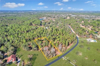 This expansive 1.06-acre homesite is located on the picturesque on Sapelo Hammock Golf Club in Georgia - for sale on GolfHomes.com, golf home, golf lot