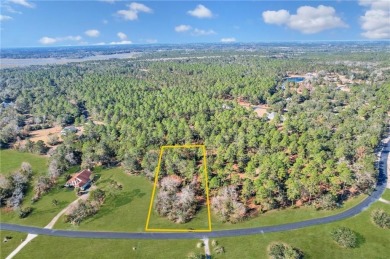 This expansive 1.06-acre homesite is located on the picturesque on Sapelo Hammock Golf Club in Georgia - for sale on GolfHomes.com, golf home, golf lot