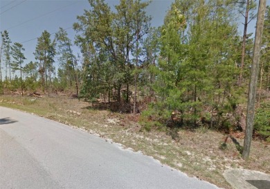 Under contract-accepting backup offers. Incredible opportunity on Sugarmill Woods Golf and Country Club in Florida - for sale on GolfHomes.com, golf home, golf lot