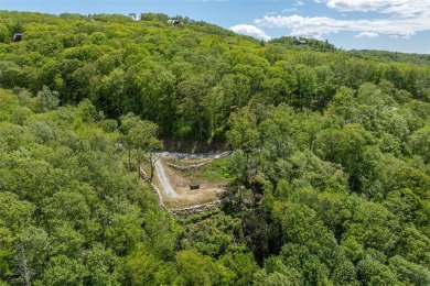 Discover the perfect canvas for a dream mountain retreat in the on Natures Walk At Chinquapin in North Carolina - for sale on GolfHomes.com, golf home, golf lot