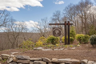 Discover the perfect canvas for a dream mountain retreat in the on Natures Walk At Chinquapin in North Carolina - for sale on GolfHomes.com, golf home, golf lot