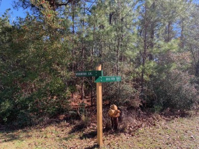 Here is a rare one! Sam Rayburn WATER ACCESS lot in Rayburn for sale on GolfHomes.com