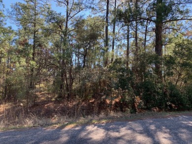 Here is a rare one! Sam Rayburn WATER ACCESS lot in Rayburn on Rayburn Country Club in Texas - for sale on GolfHomes.com, golf home, golf lot