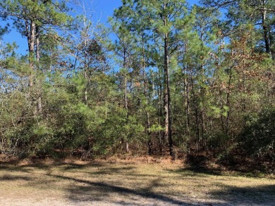 Here is a rare one! Sam Rayburn WATER ACCESS lot in Rayburn on Rayburn Country Club in Texas - for sale on GolfHomes.com, golf home, golf lot