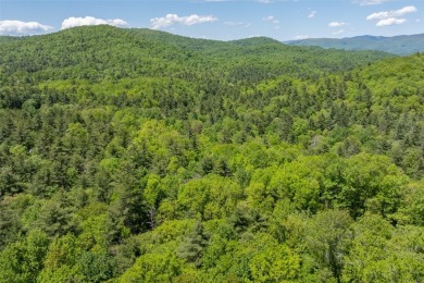 Experience the beauty of nature on this 3.46-acre lot with creek on Natures Walk At Chinquapin in North Carolina - for sale on GolfHomes.com, golf home, golf lot