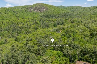 Experience the beauty of nature on this 3.46-acre lot with creek on Natures Walk At Chinquapin in North Carolina - for sale on GolfHomes.com, golf home, golf lot