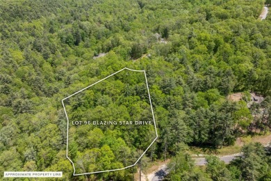 Experience the beauty of nature on this 3.46-acre lot with creek on Natures Walk At Chinquapin in North Carolina - for sale on GolfHomes.com, golf home, golf lot