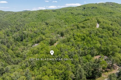 Experience the beauty of nature on this 3.46-acre lot with creek on Natures Walk At Chinquapin in North Carolina - for sale on GolfHomes.com, golf home, golf lot