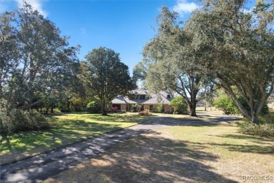 Stunning Custom Brick Home in Black Diamond Ranch - Guard-Gated on Black Diamond Ranch Golf Course in Florida - for sale on GolfHomes.com, golf home, golf lot