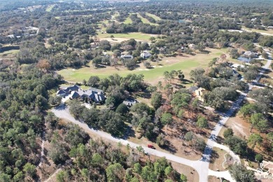 Stunning Custom Brick Home in Black Diamond Ranch - Guard-Gated on Black Diamond Ranch Golf Course in Florida - for sale on GolfHomes.com, golf home, golf lot