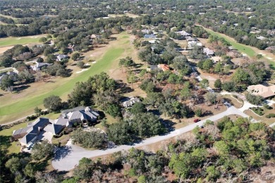 Stunning Custom Brick Home in Black Diamond Ranch - Guard-Gated on Black Diamond Ranch Golf Course in Florida - for sale on GolfHomes.com, golf home, golf lot