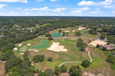 Stunning Custom Brick Home in Black Diamond Ranch - Guard-Gated on Black Diamond Ranch Golf Course in Florida - for sale on GolfHomes.com, golf home, golf lot