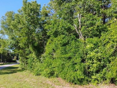Come see this beautiful lot in the Williston Highlands Golf and on Williston Highlands Golf and Country Club in Florida - for sale on GolfHomes.com, golf home, golf lot