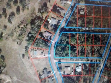 Come see this beautiful lot in the Williston Highlands Golf and on Williston Highlands Golf and Country Club in Florida - for sale on GolfHomes.com, golf home, golf lot