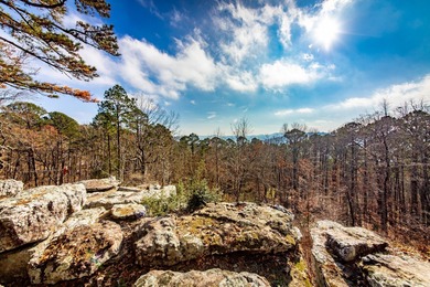 Stunning Mid-Century Mountain Retreat! Nestled among the trees on Mountain Ranch Golf Club in Arkansas - for sale on GolfHomes.com, golf home, golf lot