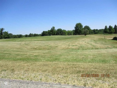 Across from Belle River Golf Course, wooded, ready to build on Belle River Golf & Country Club in Michigan - for sale on GolfHomes.com, golf home, golf lot