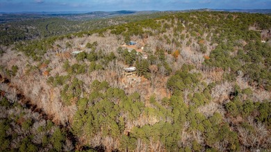 Stunning Mid-Century Mountain Retreat! Nestled among the trees on Mountain Ranch Golf Club in Arkansas - for sale on GolfHomes.com, golf home, golf lot