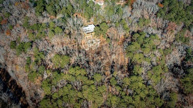 Stunning Mid-Century Mountain Retreat! Nestled among the trees on Mountain Ranch Golf Club in Arkansas - for sale on GolfHomes.com, golf home, golf lot