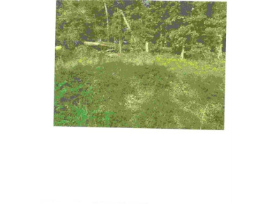 Desirable Bella Vista Lot for you to build your house on. The on Bella Vista Country Club - Highlands in Arkansas - for sale on GolfHomes.com, golf home, golf lot