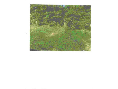 Desirable Bella Vista Lot for you to build your house on. The on Bella Vista Country Club - Highlands in Arkansas - for sale on GolfHomes.com, golf home, golf lot