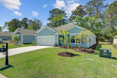 INCREDIBLE OPPORTUNITY - ASSUMABLE LOAN at 4.5% INTEREST on Santee National Golf Course in South Carolina - for sale on GolfHomes.com, golf home, golf lot