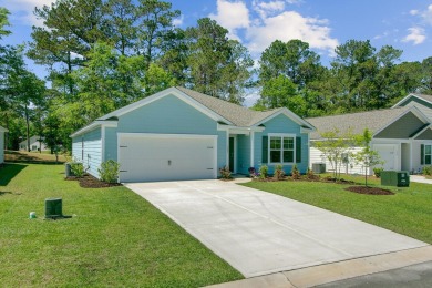 INCREDIBLE OPPORTUNITY - ASSUMABLE LOAN at 4.5% INTEREST on Santee National Golf Course in South Carolina - for sale on GolfHomes.com, golf home, golf lot