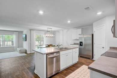 INCREDIBLE OPPORTUNITY - ASSUMABLE LOAN at 4.5% INTEREST on Santee National Golf Course in South Carolina - for sale on GolfHomes.com, golf home, golf lot