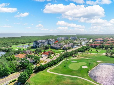 Spacious 2-Bed, 2-Bath Condo in Desirable Feather Sound on Feather Sound Country Club in Florida - for sale on GolfHomes.com, golf home, golf lot