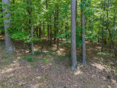 Diamondhead and all its wonderful amenties are waiting for you! on Diamondhead Golf and Country Club in Arkansas - for sale on GolfHomes.com, golf home, golf lot