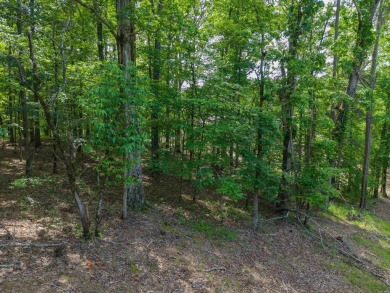 Diamondhead and all its wonderful amenties are waiting for you! on Diamondhead Golf and Country Club in Arkansas - for sale on GolfHomes.com, golf home, golf lot