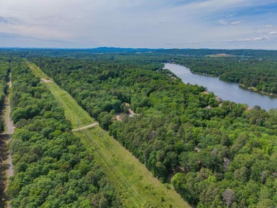 Diamondhead and all its wonderful amenties are waiting for you! on Diamondhead Golf and Country Club in Arkansas - for sale on GolfHomes.com, golf home, golf lot