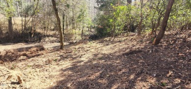 Beautiful 2.48 building lot on the Upper Little River. No on Carolina Lakes Country Club in North Carolina - for sale on GolfHomes.com, golf home, golf lot