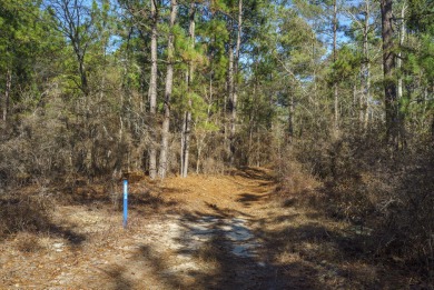 Opportunity Knocks! 23+ Acres of Piney Woods with over 460 feet on Midland Valley Country Club in South Carolina - for sale on GolfHomes.com, golf home, golf lot