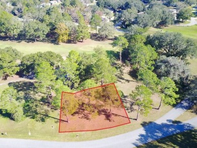 This open builder lot is priced to sell and ready for your dream on Turkey Creek Golf and Country Club in Florida - for sale on GolfHomes.com, golf home, golf lot