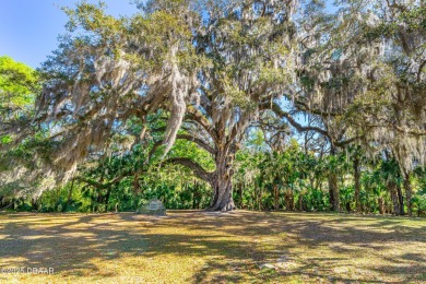 Great home among the Oaks. Wonderful two bedroom home with on Halifax Plantation Golf Club in Florida - for sale on GolfHomes.com, golf home, golf lot