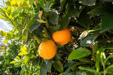 Turn Key large floor plan with 2 bedroom and 2 full bathroom on Cherry Hills Golf Club in California - for sale on GolfHomes.com, golf home, golf lot