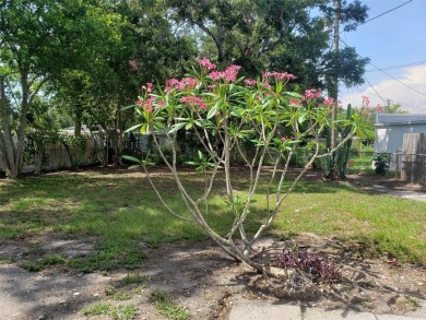 GREAT LOCATION! Quiet dead-end street in quaint friendly on Clearwater Executive Golf Course in Florida - for sale on GolfHomes.com, golf home, golf lot