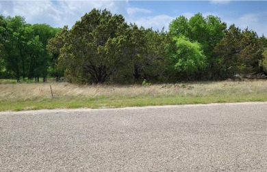 OVER ONE-HALF ACRE ON THE GOLF COURSE.  These beautiful adjacent on White Bluff Resort - Old Course in Texas - for sale on GolfHomes.com, golf home, golf lot