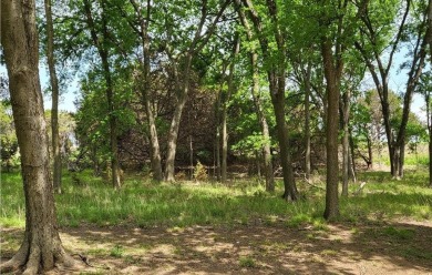 OVER ONE-HALF ACRE ON THE GOLF COURSE.  These beautiful adjacent on White Bluff Resort - Old Course in Texas - for sale on GolfHomes.com, golf home, golf lot