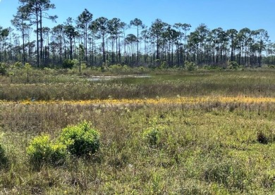 Under contract-accepting backup offers. Build the home of your on Del Tura Golf and Country Club in Florida - for sale on GolfHomes.com, golf home, golf lot