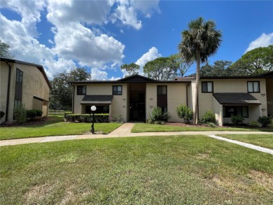 Lake Sparkle OASIS Water front living!!! Just a few miles from on Country Club At Silver Springs Shores in Florida - for sale on GolfHomes.com, golf home, golf lot
