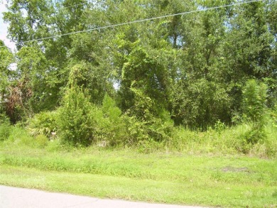 BUY THIS BEAUTIFUL LOT IN POINCIANA AND BUILD YOUR DREAM HOME on Stonegate Golf Club in Florida - for sale on GolfHomes.com, golf home, golf lot